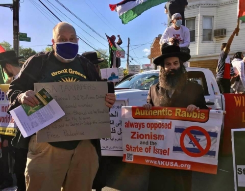 Pro Palestine Rally in the Bronx