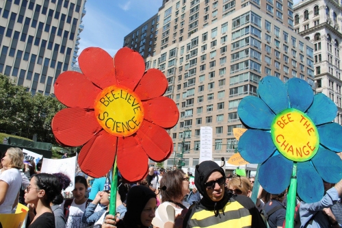 NYC climate strike rally, 2019